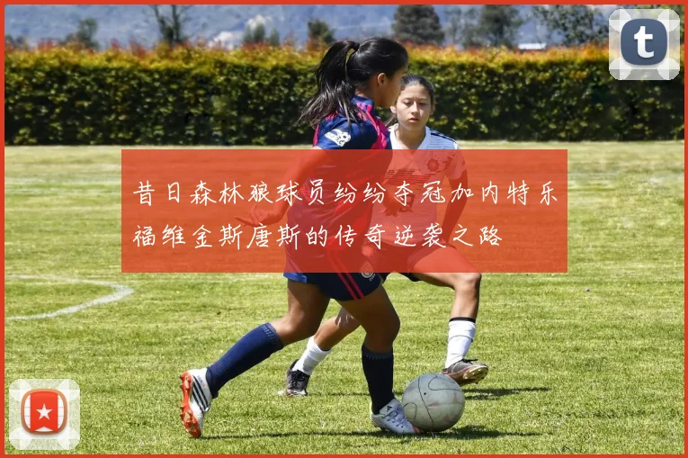 昔日森林狼球员纷纷夺冠加内特乐福维金斯唐斯的传奇逆袭之路